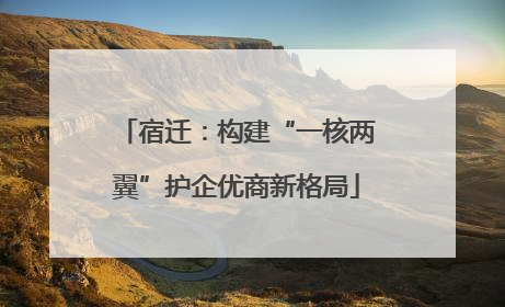 宿迁：构建“一核两翼”护企优商新格局