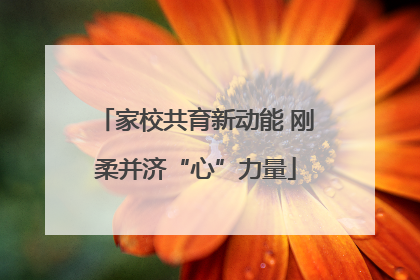 家校共育新动能 刚柔并济“心”力量
