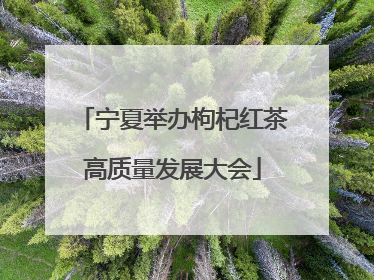 宁夏举办枸杞红茶高质量发展大会