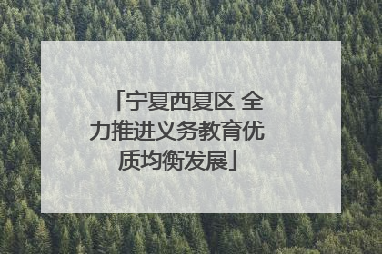 宁夏西夏区 全力推进义务教育优质均衡发展