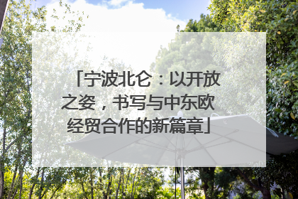 宁波北仑：以开放之姿，书写与中东欧经贸合作的新篇章