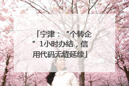 宁津：“个转企”1小时办结，信用代码无缝延续