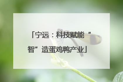 宁远：科技赋能“智”造蛋鸡鸭产业