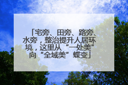 宅旁、田旁、路旁、水旁，整治提升人居环境，这里从“一处美”向“全域美”蝶变
