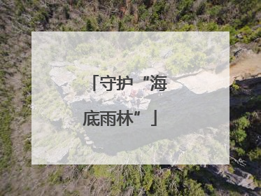 守护“海底雨林”