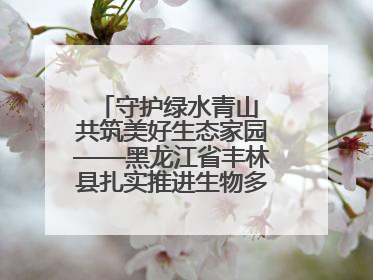 守护绿水青山 共筑美好生态家园——黑龙江省丰林县扎实推进生物多样性保护工作