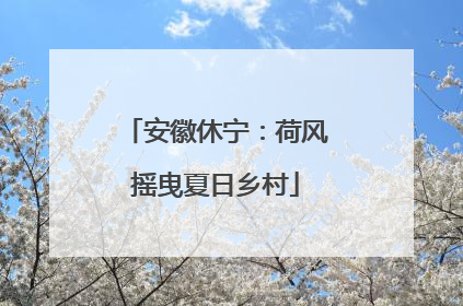 安徽休宁：荷风摇曳夏日乡村