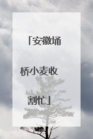 安徽埇桥小麦收割忙