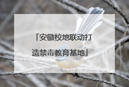 安徽校地联动打造禁毒教育基地