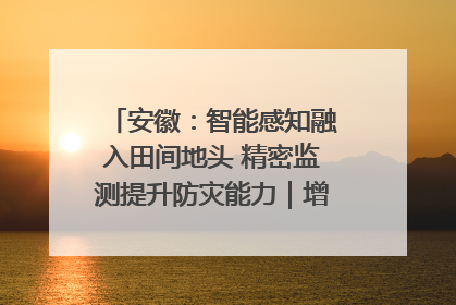 安徽：智能感知融入田间地头 精密监测提升防灾能力｜增发国债气象项目落地见效系列报道