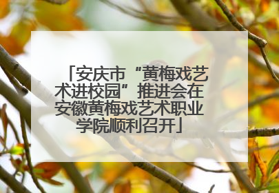 安庆市“黄梅戏艺术进校园”推进会在安徽黄梅戏艺术职业学院顺利召开
