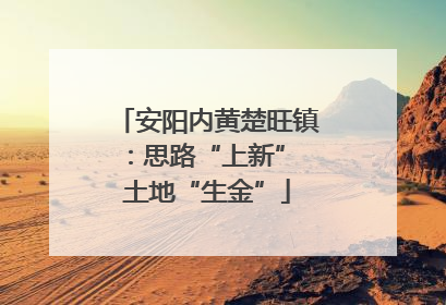 安阳内黄楚旺镇：思路“上新” 土地“生金”