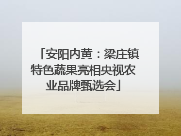 安阳内黄：梁庄镇特色蔬果亮相央视农业品牌甄选会