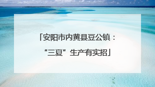 安阳市内黄县豆公镇：“三夏”生产有实招