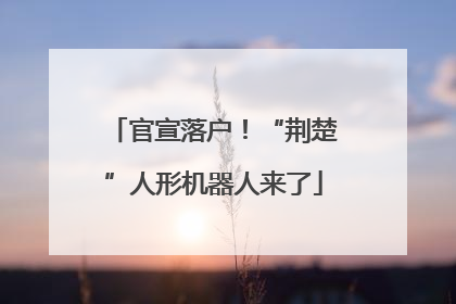 官宣落户！“荆楚”人形机器人来了