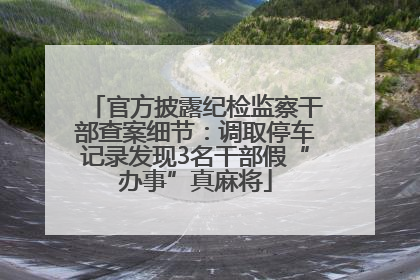 官方披露纪检监察干部查案细节：调取停车记录发现3名干部假“办事”真麻将