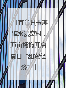 宜章县玉溪镇水浸窝村：万亩杨梅开启夏日“甜蜜经济”