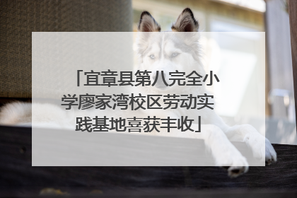 宜章县第八完全小学廖家湾校区劳动实践基地喜获丰收