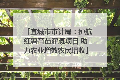 宜城市审计局：护航红薯育苗灌溉项目 助力农业增效农民增收