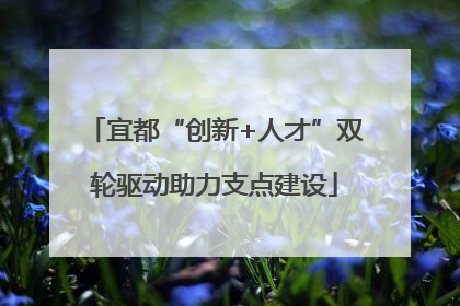 宜都“创新+人才”双轮驱动助力支点建设