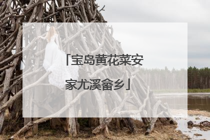 宝岛黄花菜安家尤溪畲乡
