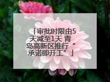 审批时限由5天减至1天 青岛高新区推行“承诺即开工”