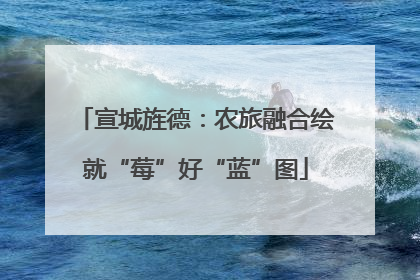 宣城旌德：农旅融合绘就“莓”好“蓝”图