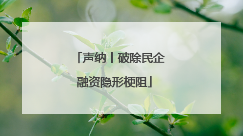 声纳丨破除民企融资隐形梗阻