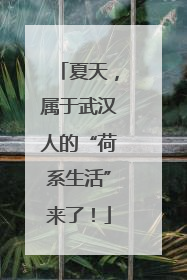 夏天，属于武汉人的“荷系生活”来了！