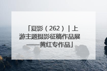 夏影（262）｜上游主题摄影征稿作品展——黄红专作品