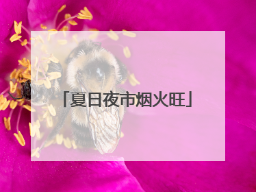 夏日夜市烟火旺