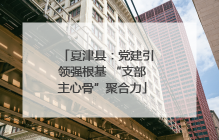 夏津县：党建引领强根基 “支部主心骨”聚合力