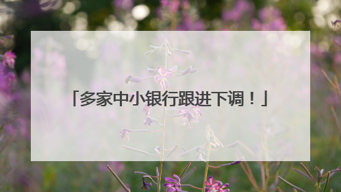 多家中小银行跟进下调！