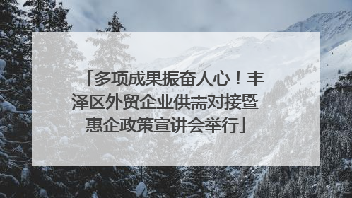 多项成果振奋人心！丰泽区外贸企业供需对接暨惠企政策宣讲会举行
