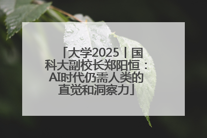 大学2025丨国科大副校长郑阳恒：AI时代仍需人类的直觉和洞察力