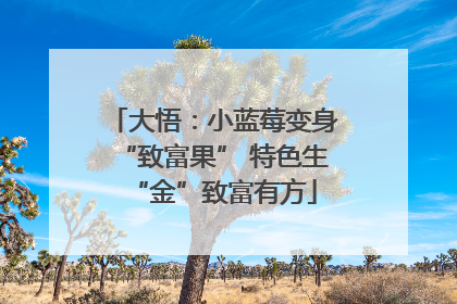 大悟：小蓝莓变身“致富果” 特色生“金”致富有方
