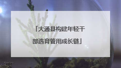 大通县构建年轻干部选育管用成长链