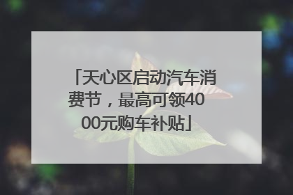 天心区启动汽车消费节，最高可领4000元购车补贴