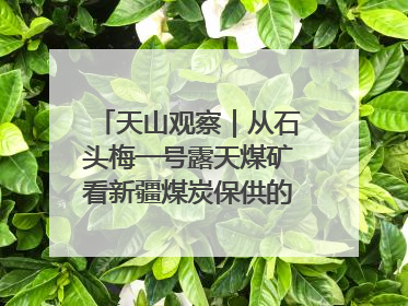天山观察｜从石头梅一号露天煤矿看新疆煤炭保供的量与“智”