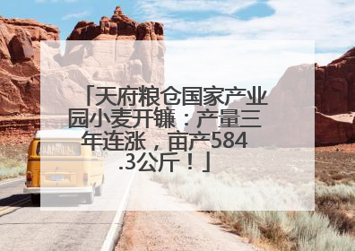 天府粮仓国家产业园小麦开镰：产量三年连涨，亩产584.3公斤！