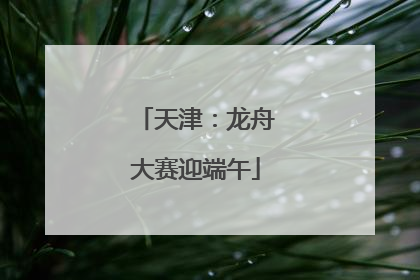 天津：龙舟大赛迎端午