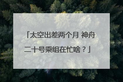 太空出差两个月 神舟二十号乘组在忙啥？