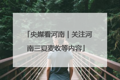 央媒看河南｜关注河南三夏麦收等内容