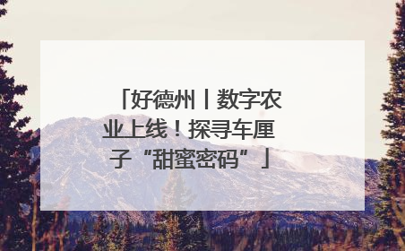 好德州丨数字农业上线！探寻车厘子“甜蜜密码”