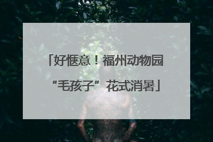好惬意！福州动物园“毛孩子”花式消暑