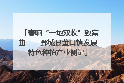 奏响“一地双收”致富曲——鄄城县董口镇发展特色种植产业侧记