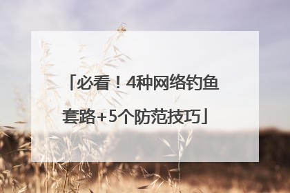 必看！4种网络钓鱼套路+5个防范技巧