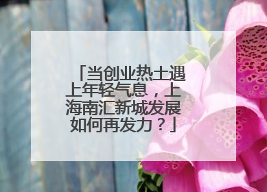 当创业热土遇上年轻气息，上海南汇新城发展如何再发力？