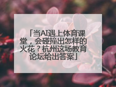 当AI遇上体育课堂，会碰撞出怎样的火花？杭州这场教育论坛给出答案