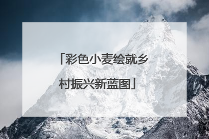 彩色小麦绘就乡村振兴新蓝图